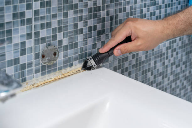 Best Residential Mold Removal  in Princeton, KY